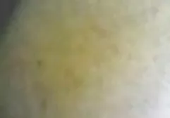 The old skin skillfully sucks the languid member of her husband