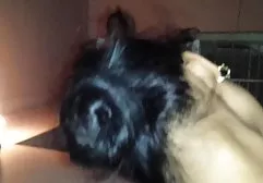 The boy seduced and raped a mature housemaid