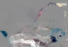 Gay likes to feel the fat dick of a Negro in his glasses