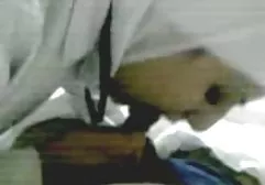 Kick-ass secretary in black stockings dirty gave herself to the boss in the office