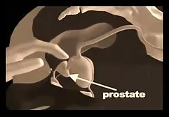 Cum in mouth to his wife