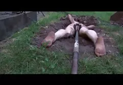 Brunette with glasses and black stockings does blowjob from 1 person