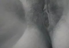 Beautiful brunette posing in stockings with garters