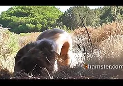 Spectacular brunette in sexy lingerie poses for a magazine