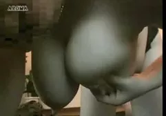 Experienced rider straddled the stallion