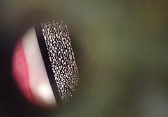 A man came to the village and began to seduce the local beauty