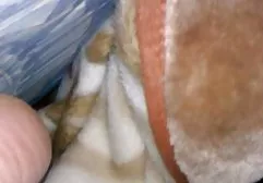 Prostitutes dumped from the client