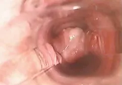 Erotic video on Russian pop song