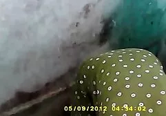 The boy is quick to chpoknul 18-year-old girl in the bathroom