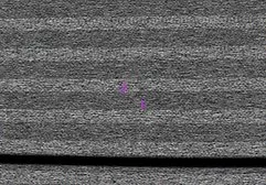 Chick in stockings undressed and masturbates