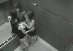 Unbridled fucking in the bedroom of two black dwarfs