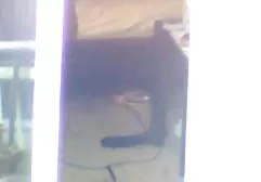 Rough anal and oral sex with two lovers liked slender brunette