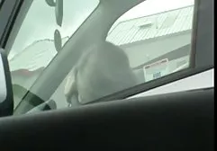 The male picked up the busty chick at the party and fucked her in all the cracks